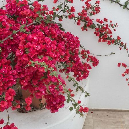 Depis Apartments & Suites Agia Anna  Екстер'єр фото